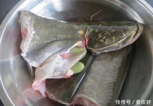 营养价值|它是被“误解”最多的鱼,一斤只要8元,营养价值不比甲鱼差