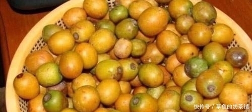 味道|中国公认最难吃的6类水果,如果你全都吃过,请收下我的“膝盖”