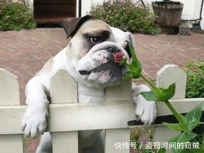 这栋|趣味图片幽默段子笑话:这栋大厦好像被人中间劈了一刀似的,哈哈