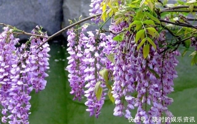 择一人深爱,等一人终老|诗词 | 深爱