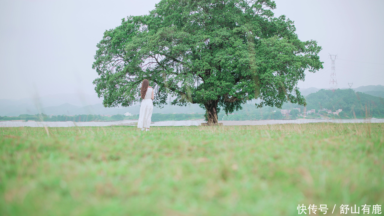 万事|戾气暴躁,害人不浅:做人不“静”,万事皆“失”,唯静有千益