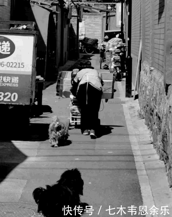 捡拾|捡拾纸箱挣钱的独孤百岁老人