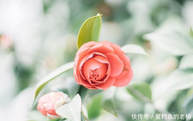 婚嫁|“结婚彩礼30万”终究你会明白，并非失去的每个人都算损失