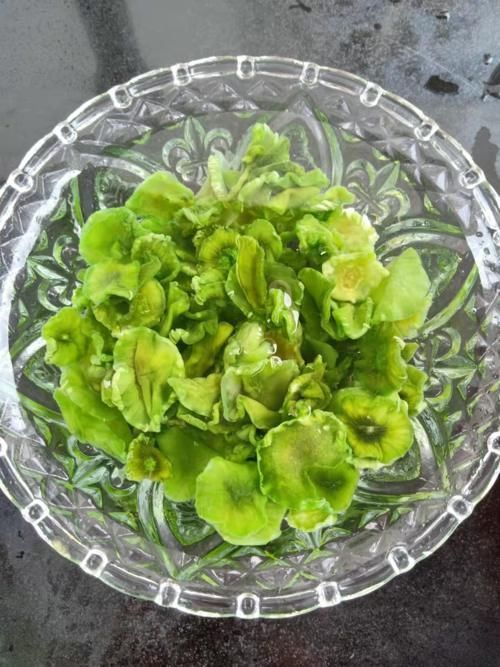  隔天|这菜一晒就是30斤，炒肉吃特香，隔天吃一盘，清爽可口，常吃脾胃好