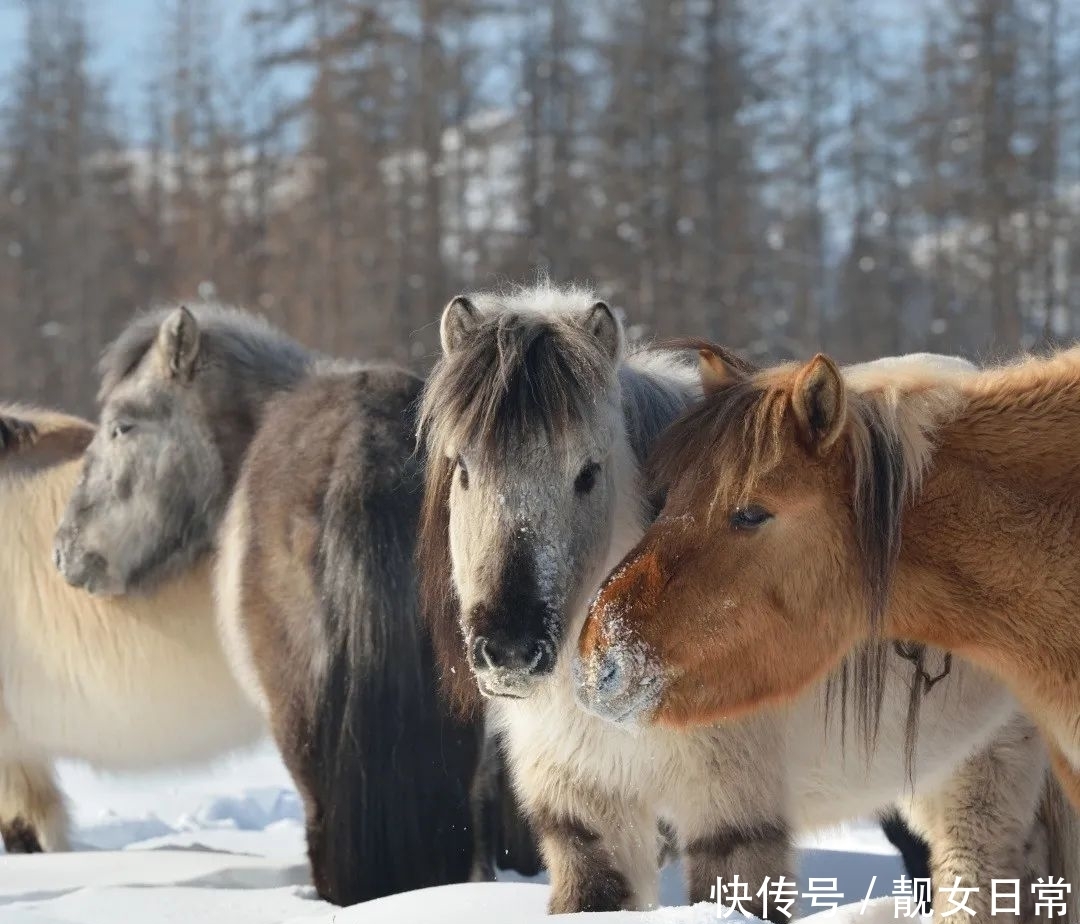 俄罗斯|俄罗斯,困在路上|地球知识局