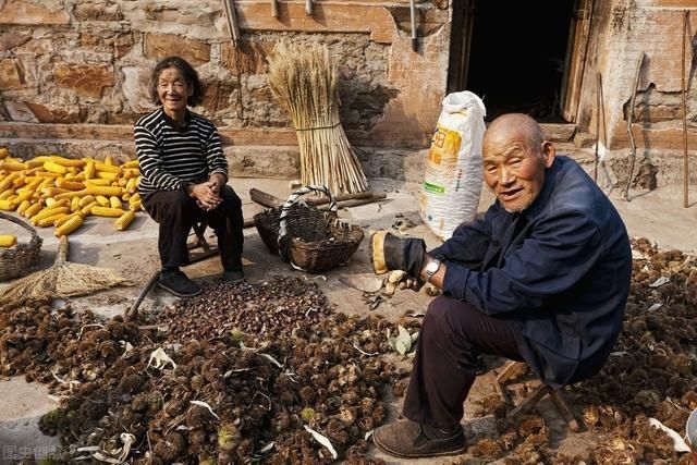 生活不能自理|农村老人“轮流养老”，这样合理公平，为何老人不接受