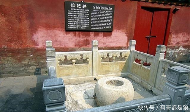 答案|光绪被慈禧囚禁在瀛台十年,每天都在做什么答案你意想不到