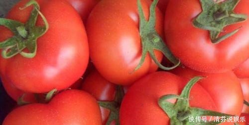 西红柿|黄瓜不能和西红柿一起吃营养师辟谣夏季多吃些,对身体有好处