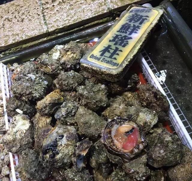 海鲜|世界上65种珍奇海鲜,贝爷都不敢说全部吃过,你吃过几种