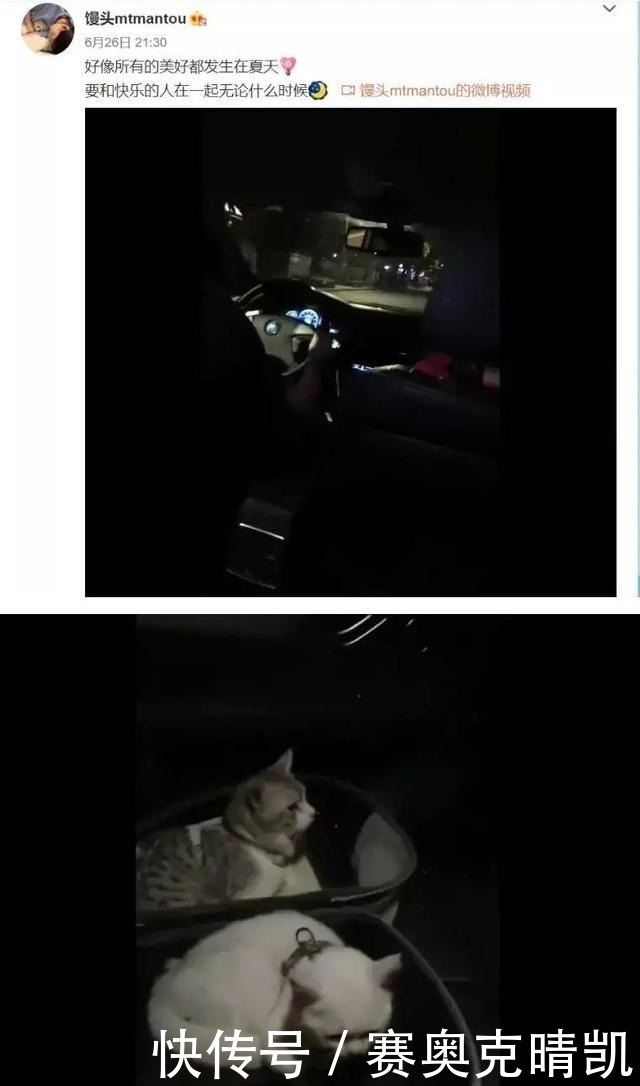 不凡|绿地张雨婷经历不凡，看书煲鸡汤算啥，也许你被她的清纯蒙蔽了！