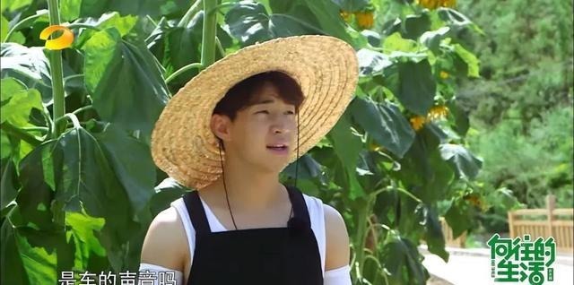 来去匆匆|《向往的生活》双龙和黄晓明来去匆匆,黄磊一句话更点明问题所在