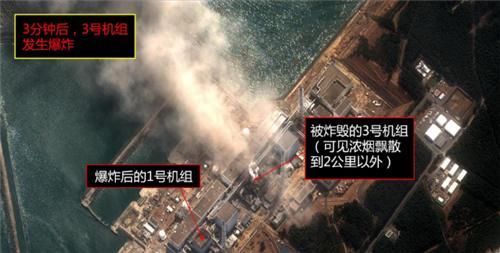  照顾|他不顾家人阻拦，进入福岛核辐射区照顾变异动物6年，如今怎样了