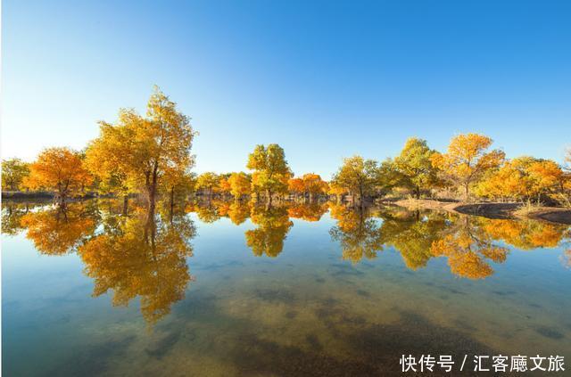 热烈|等待一年,只为胡杨林21天的极致灿烂和浓烈!