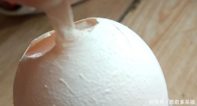 实拍|超市鸡蛋不是母鸡下的?实拍工厂生产鸡蛋全过程,原来是这样!