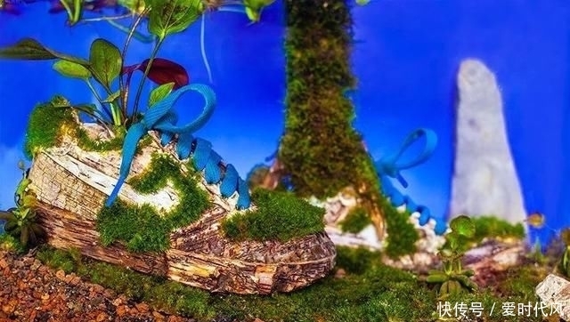 鲜花|球鞋当花瓶,鲜花填充羽绒服?时尚界的环保也太香了