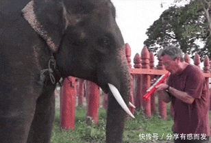  忘记|爆笑GIF: 男演员太贴心了, 吻玩还不忘记帮女演员擦嘴