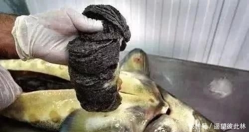 日本|日本人评出“不想不敢吃”的5大中国菜,在中国卖出“天价”