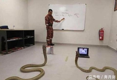 政治|军事搞笑系列，带你感受别样的欢乐