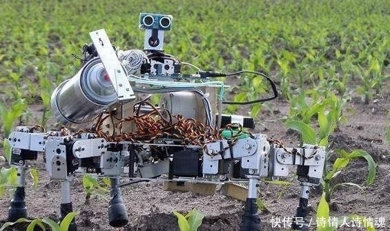 美国|日本农民收入高?看看和美国农民的生活对比再下结论吧