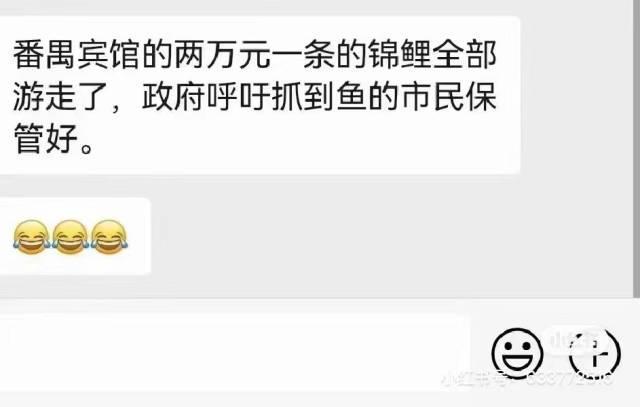 t01cf9eae652684e3ef.jpg?size=640x407