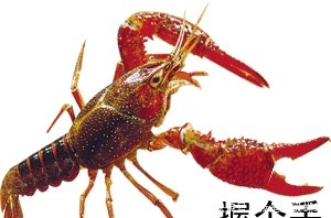  可不是|逼员工吃“死神辣条”，“辣条”英文可不是WeiLong或latiao哦