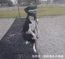 来撑|这伴娘怕不是来撑场子是来砸场子的吧!哈哈哈