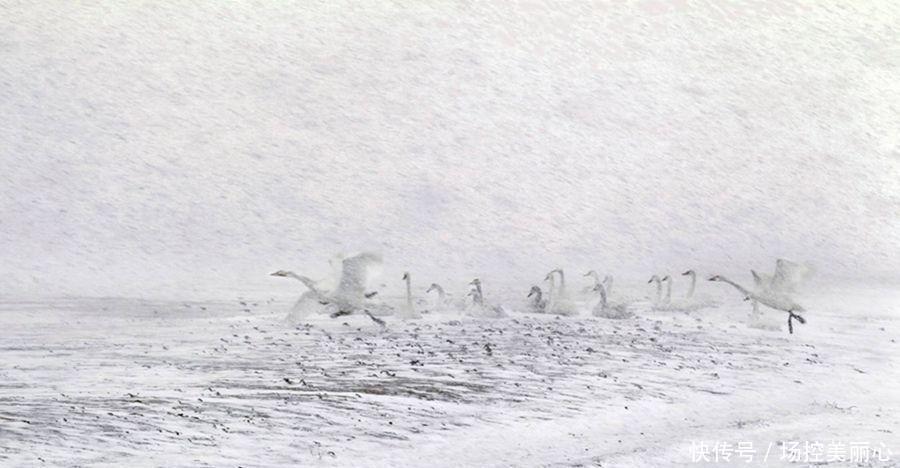 如今|一件外国“祸害”中国人的秘密武器, 如今, 几乎所有国人都“中招”!