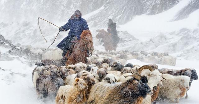 击败|帕提亚军队击败了罗马军团,却被汉朝使者说是弱鸡,这是为什么