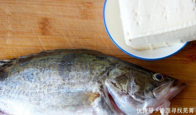  鳜鱼|初秋8月，不差钱的可以买这鱼，刺少肉多，营养价值极高，特鲜美