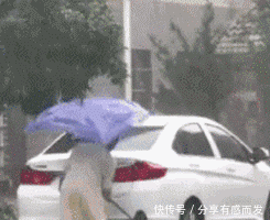  忘记|爆笑GIF: 男演员太贴心了, 吻玩还不忘记帮女演员擦嘴