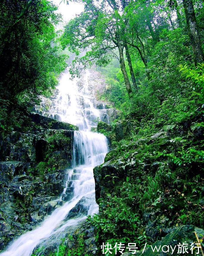  森林|高温席卷的初夏，不如去这些堪比童话仙境的小众森林里乘个凉！