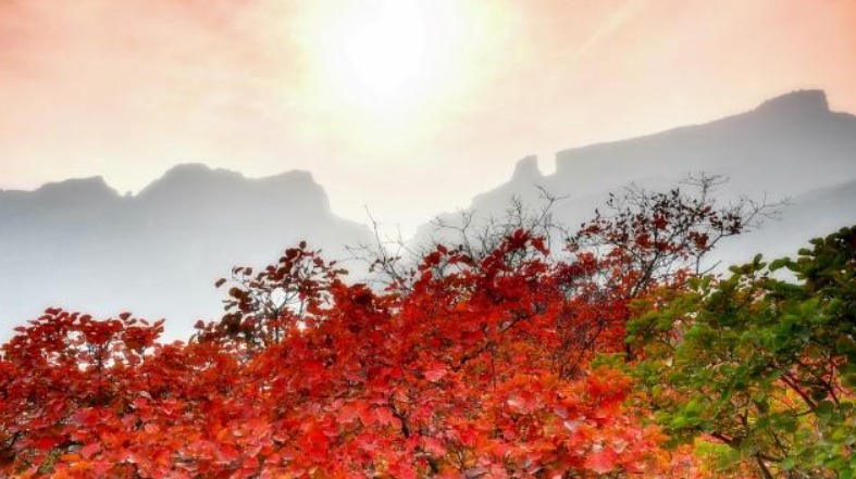  回诗|徐志摩写了首肉麻情诗，林徽因9年后回诗一首，文字灵动令人叹服