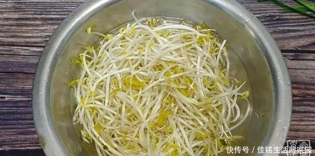脆爽|炒豆芽不焯水,下锅前多加一步,炒出来的豆芽脆爽入味还不出水