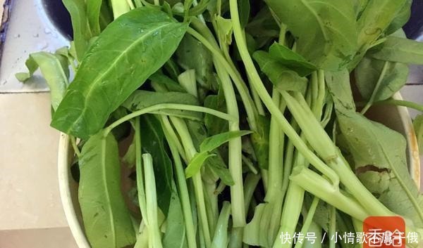 卖出|这食材在美国卖出高价,在国内却随处可见,口感嫩,营养高