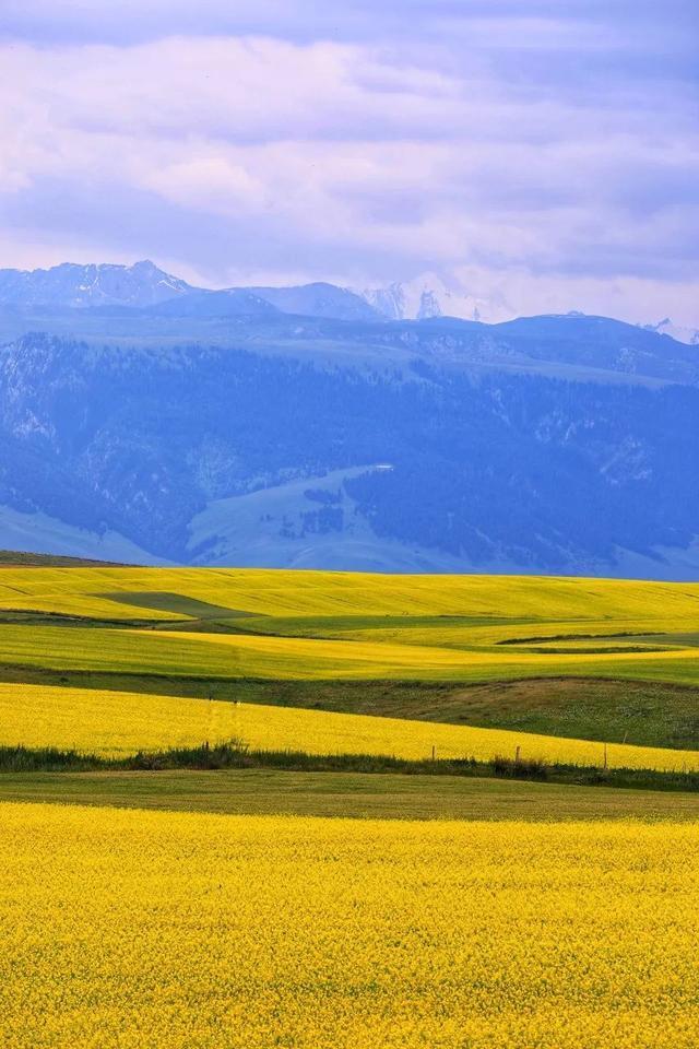 自驾|憋疯了!15条醉美新疆自驾线,正适合七八月挑一条出发!