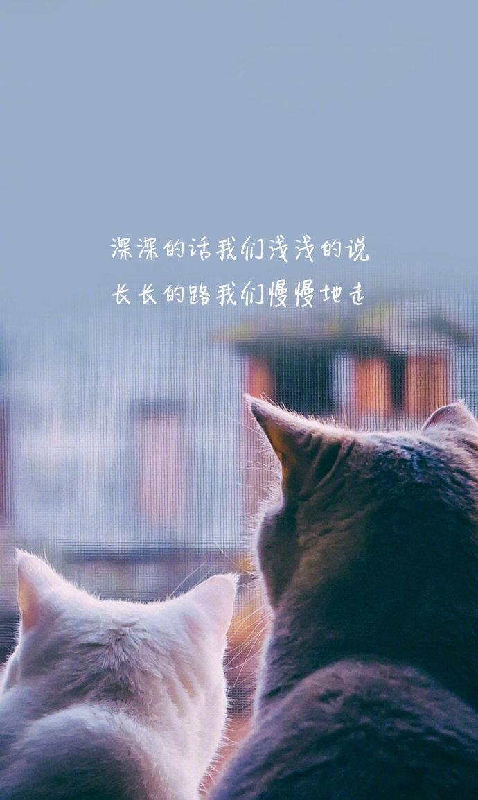 温柔|村上春树式温柔:你都喜欢哪句?留下你的答案吧