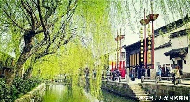 消失|一位蕃将慢悠悠地念出两句诗，从唐朝开始有一种树就从皇宫消失了