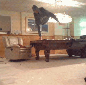 下雪|搞笑GIF:就喜欢下雪,每次都这样,不想回家!