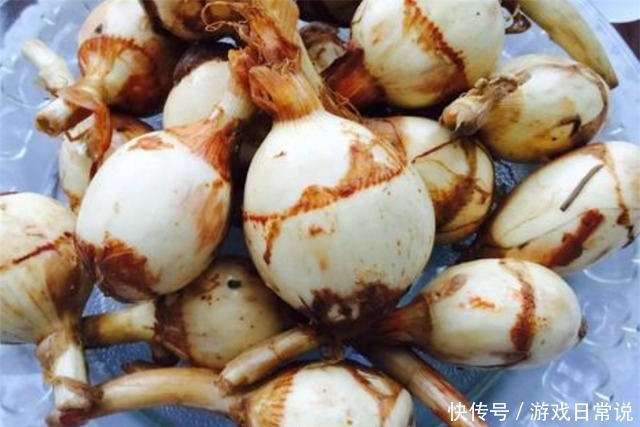 水中|隐藏在水中的4种美食,除了莲藕你还知道谁全认识的是吃货大神