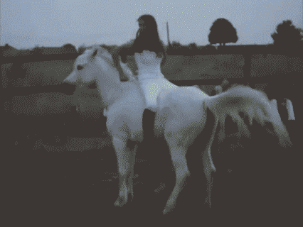 GIF|搞笑GIF:说出来你们可能不信,刚刚比赛中我输给了一辆面包车