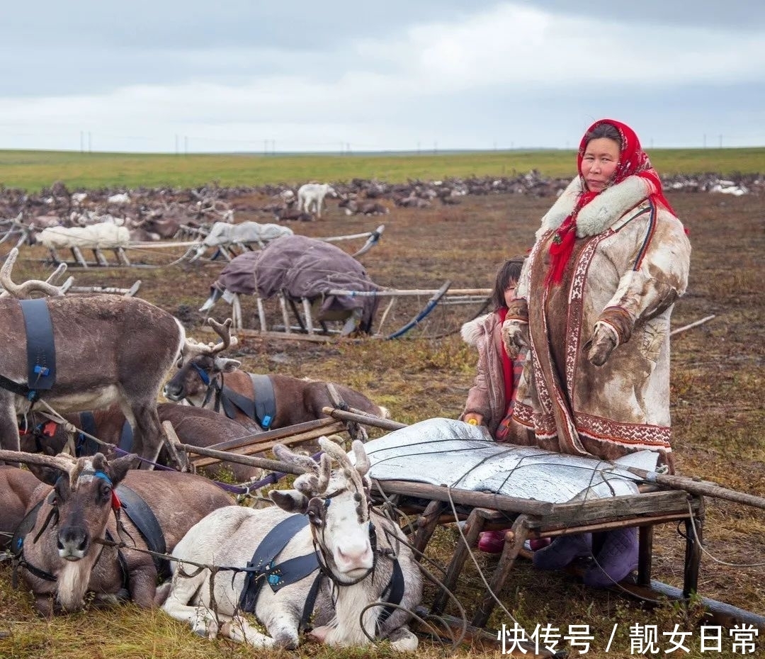俄罗斯|俄罗斯,困在路上|地球知识局