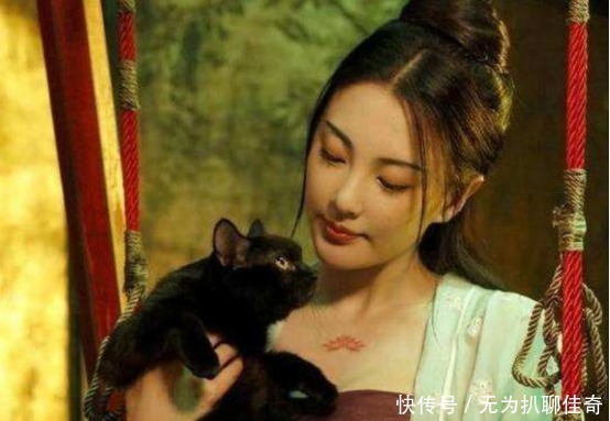 皇帝|唐玄宗后宫里的洋贵妃，最会跳风情舞蹈，因生混血女儿被打入冷宫