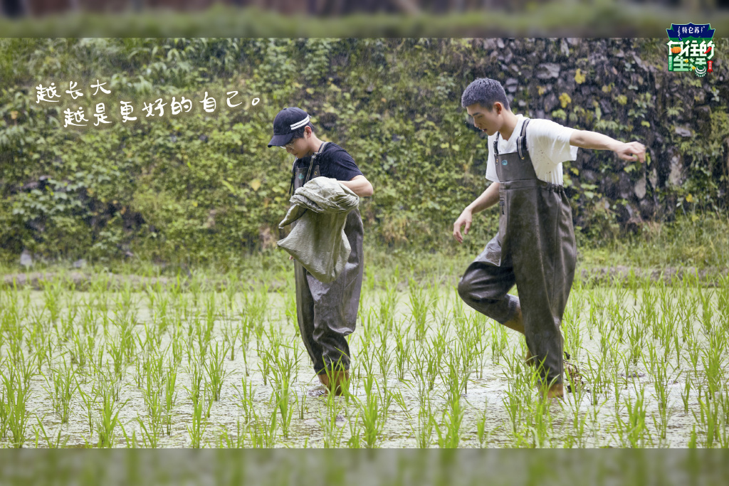  节目|《向往的生活》被批作秀，嘉宾只吃饭不收拾，全靠“保姆”帮忙！