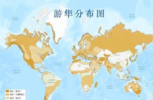  霸主|世界猛禽战力排行榜，谁才是猛禽界的天空霸主