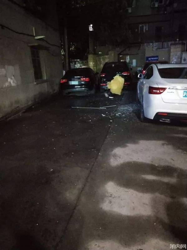  哆嗦|夜里发生的一幕! 小伙路过一看, 心里一阵哆嗦