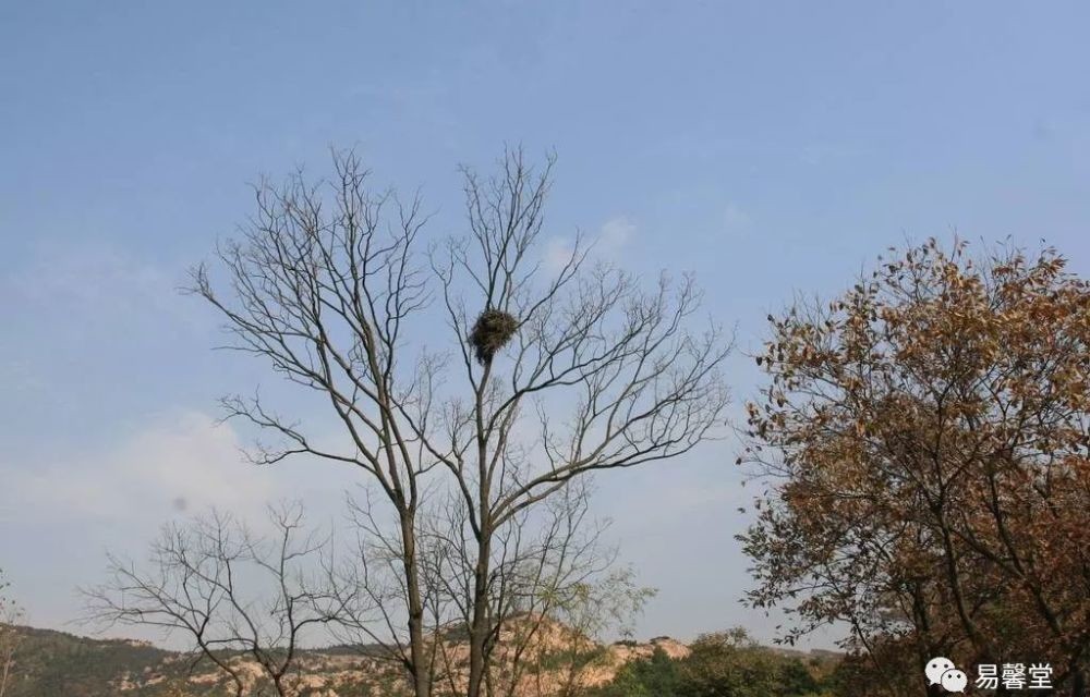 玄机|《晋书》中迷雾重重的郭璞被杀事件,其实背后另藏重大玄机