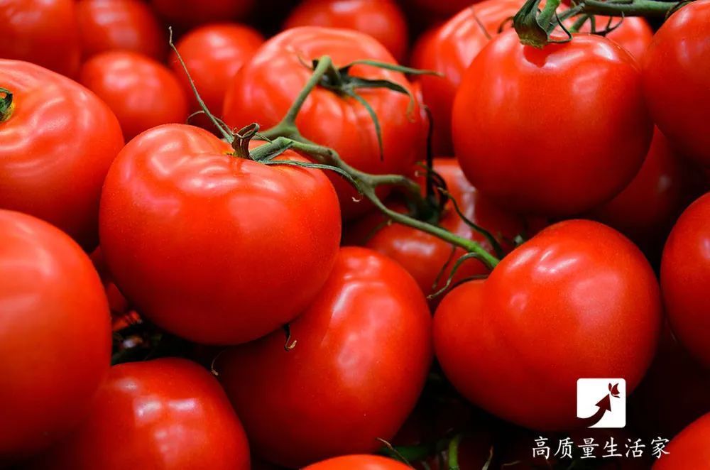 有毒|这3种蔬菜,越新鲜越有毒,吃多了甚至会致命!尤其是第一种