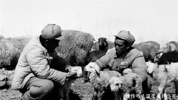  北山碉堡|1950年，西北发生大叛乱，解放军一个连孤军坚守了40天