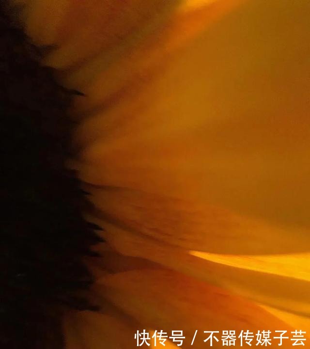 百褶半裙|长裙,恰似秋的温柔!