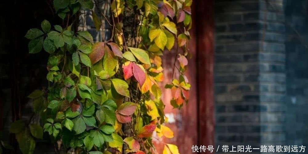 别人|人品差的人,开口闭口都是这些话,一定不要深交